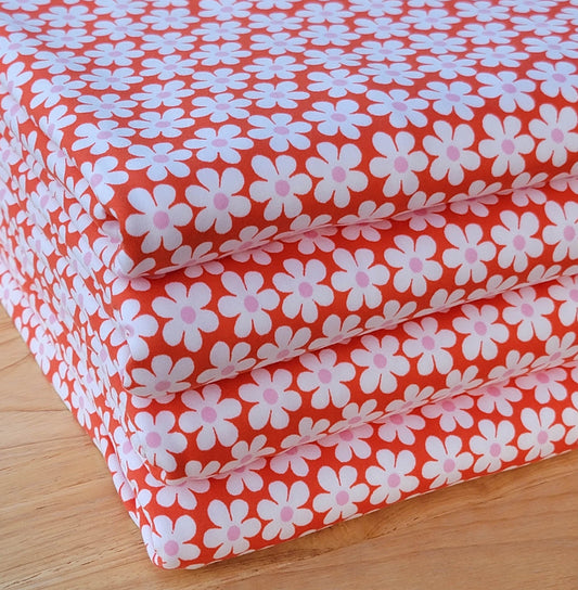 Orange Daisies Double Brush Poly