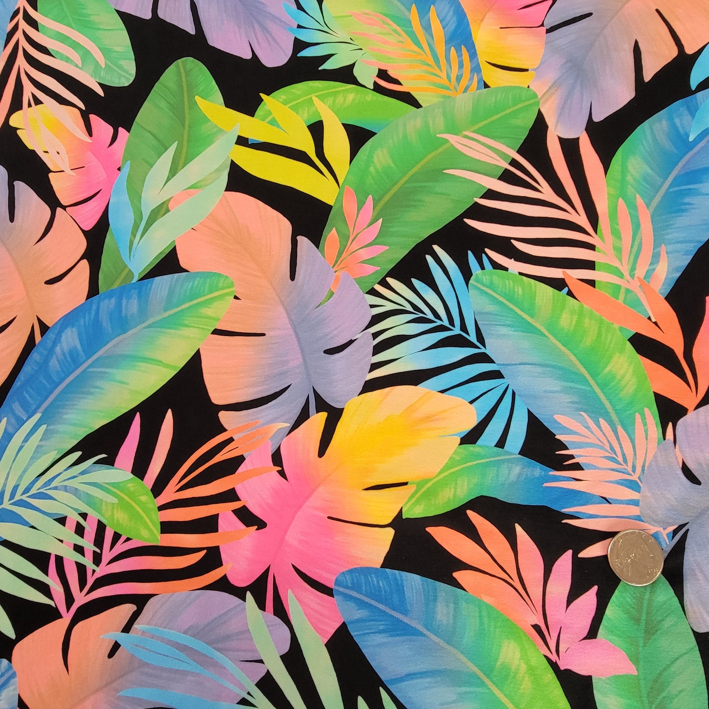 Tropical Leaf Printed Nylon Spandex Swim Athletic