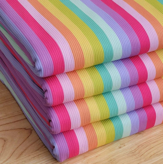 2x2 Yummy Rib Multicolor Stripes Print